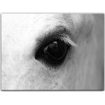 Weiße Bilderdepot24 Rechteckige Pferde Bilder mit Pferdemotiv aus MDF 30x40 1-teilig 