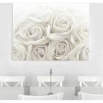 Weiße Bilder-Welten Rosenbilder Querformat 60x80 