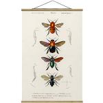 Moderne Bilder-Welten Posterleisten mit Insekten-Motiv Hochformat 