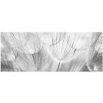 Weiße Bilder-Welten Blumenglasbilder mit Pusteblumen-Motiv aus Glas 40x100 