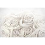 Rosa Bilder-Welten Nachhaltige Blumenleinwandbilder aus Holz 60x90 