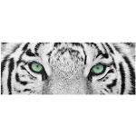 Weiße Bilder-Welten Kunstdrucke mit Tigermotiv aus Glas 40x100 