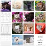 ALPHA EDITION Bildkalender mit Tiermotiv 