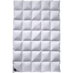 Weiße Gesteppte Billerbeck Catalina 4-Jahreszeiten-Bettdecken & Ganzjahresdecken aus Baumwolle 155x220 