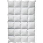 Weiße Gesteppte Winterdecken & Winterbettdecken aus Baumwolle maschinenwaschbar 155x220 für den für den Winter 