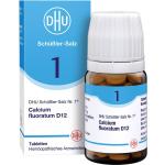 DHU Arzneimittel Bio Calcium fluoratum 