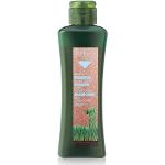 Biokera Natura Scalp Care Shampoo 300 ml Alerm Cosmetics