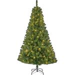 Black Box Trees Charlton Künstlicher Weihnachtsbaum mit LED-Beleuchtung - H185 cm - Grün