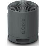 SONY Bluetooth-Lautsprecher SRS-XB 100 schwarz - Tragbarer Lautsprecher mit klarem Sound & 16 Std. Akkulaufzeit