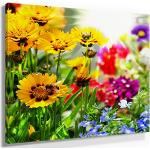 Blumenbilder aus Acrylglas 50x50 1-teilig 