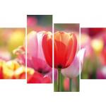 Rosa Moderne 1art1 Bildersets mit Tulpenmotiv Querformat 80x120 4-teilig 