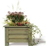 Hellbraune Blumenkästen & Pflanzkästen imprägniert aus Massivholz 