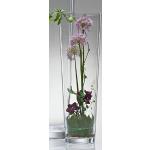 50 cm Sandra Rich Runde Bodenvasen & Vasen für Pampasgras 50 cm aus Glas mundgeblasen 