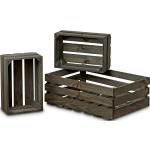Graue Boltze Porto Kisten & Aufbewahrungskisten aus Holz 3-teilig 