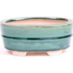 Grüne Ovale Bonsaischalen aus Keramik 