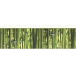 Grüne AS Creation Bordüren mit Bambus-Motiv 