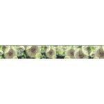 Grüne Bordüren Selbstklebend mit Blumenmotiv aus Papier 