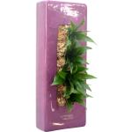 Violettes 40 cm Flowerbox Pflanzgefäße Zubehör 
