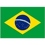 Reduzierte Flags4You Brasilien Flaggen & Brasilien Fahnen 