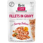 Brit Care Cat Fillets in Gravy - Salmon 24 x 85 g
