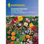 Niedriger Sommerblumen-Mix, 1 Tüte Samen