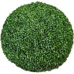 Grüne Runde Künstliche Sukkulenten aus Kunststoff 