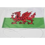 Buddel-Bini Wales Flaggen & Wales Fahnen 