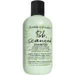 Reinigende Bumble and Bumble Seaweed Shampoos 250 ml mit Algenextrakt ohne Tierversuche 