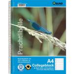 Blaue Collegeblöcke & Spiralblöcke DIN A4 aus Papier 