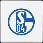 Graue Schalke 04 Schalter aus Kunststoff 