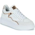 Reduzierte Weiße CafèNoiR Low Sneaker aus Leder für Damen Größe 40 mit Absatzhöhe 3cm bis 5cm 