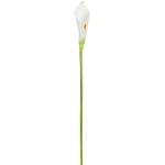 Weißer Blumenmuster Eleganter Buttinette Schmuck 