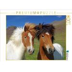 1000 Teile Calvendo Pferde & Pferdestall Puzzles mit Tiermotiv 
