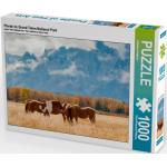 CALVENDO Puzzle Pferde im Grand Teton National Park 1000 Teile Puzzle quer