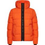 Orange Gesteppte Wasserdichte Calvin Klein Steppjacken mit Kapuze mit Kapuze für Herren Größe XXL 