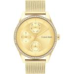 Goldene Wasserdichte Calvin Klein Quarz Stahlarmbanduhren mit Analog-Zifferblatt mit Multifunktion mit Mineralglas-Uhrenglas für Damen 
