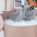 Reduzierte Beige CanadianCat Company Katzenkörbe aus Filz maschinenwaschbar 