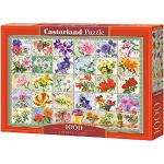 1000 Teile Castorland Puzzles 