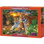 Castorland C-200825-2 - Tiger Family, Puzzle 2000 Teile