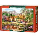 3000 Teile Castorland Puzzles für 9 - 12 Jahre 