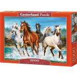 Castorland Call of Nature Jigsaw puzzle 2000 pc(s) Animals (2000 Teile)