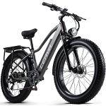 CEAYA Elektrofahrrad,E-Bike für Herren und Damen,26''E-Mountainbike,48V20AH E Fahrrad,Shimano 8-Gänge Elektro Fahrrad