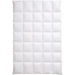 Weiße Centa-Star 4-Jahreszeiten-Bettdecken & Ganzjahresdecken aus Textil 240x220 