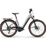 Centurion Country R960I E-Bike, Farbe: grau, Rahmengröße: L (53)
