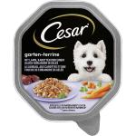 Cesar Empfehlung des Chefkochs Hundefutter 