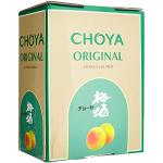 Japanische Choya Bag-In-Box Pflaumenweine 1-teilig 
