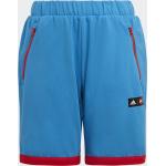 Adidas Classic LEGO Shorts (HP0929) bright blue/red/red