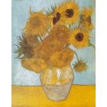 1000 Teile Clementoni Van Gogh Puzzles mit Blumenmotiv 