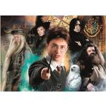 500 Teile Harry Potter Puzzles für 9 - 12 Jahre 