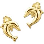 Goldene Elegante Clever Schmuck Delfin Ohrringe mit Delfinmotiv glänzend aus Gold für Damen 